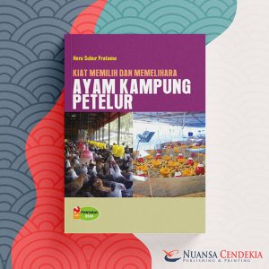 Kiat Memilih Dan Memelihara Ayam Kampung Petelur
